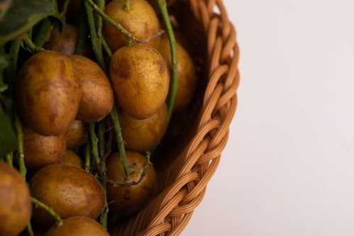果篮黄皮果特产夏季水果美食摄影图 摄影